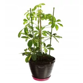 Suport pentru plante 150 cm