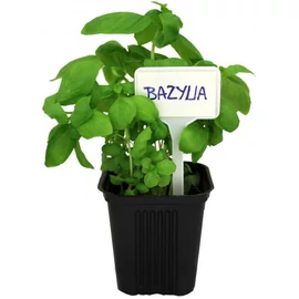 Etichete pentru plante