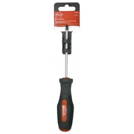 Şurubelniţă PZ1x100 mm - CRV